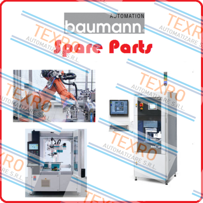 Baumann logo