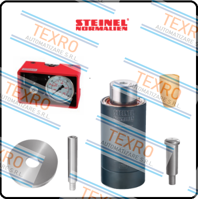 Steinel Normalien logo