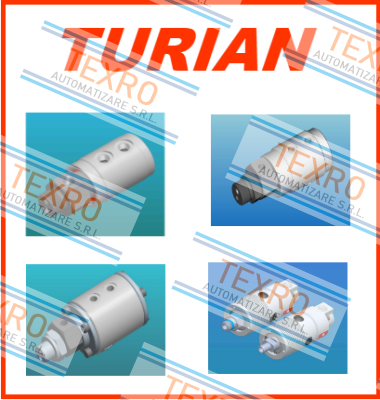 Turian logo