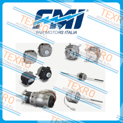 FMI (Fan Motors Italia) logo
