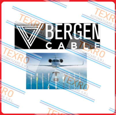 Bergen Cable Technology Llc logo