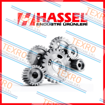 Hassel logo