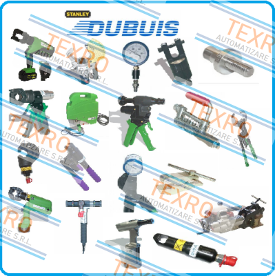 Dubuis logo