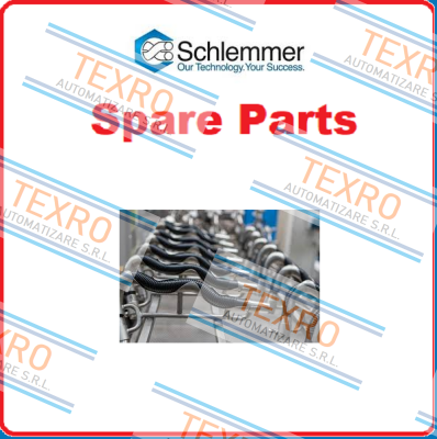 Schlemmer logo