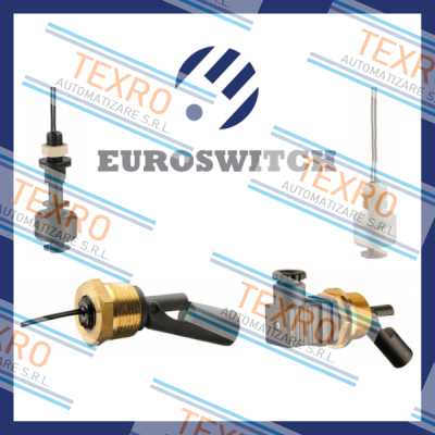 Euroswitch logo