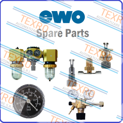 Ewo logo