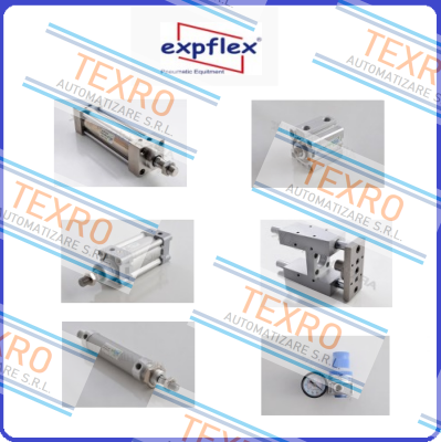 EXPFLEX logo