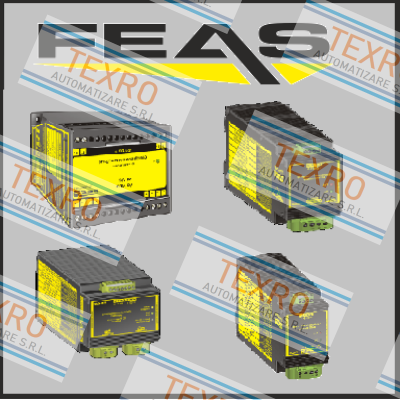 Feas logo