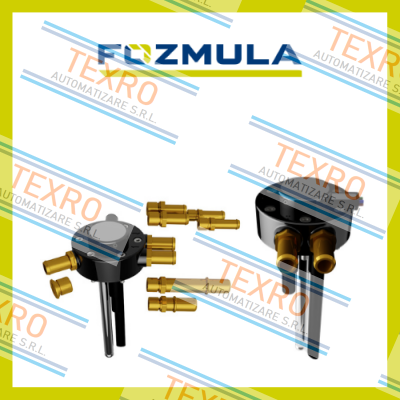 Fozmula logo