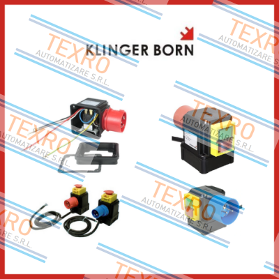 Klinger Born logo