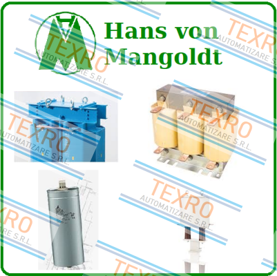 Hans von Mangoldt logo