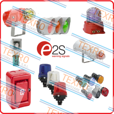 E2S logo