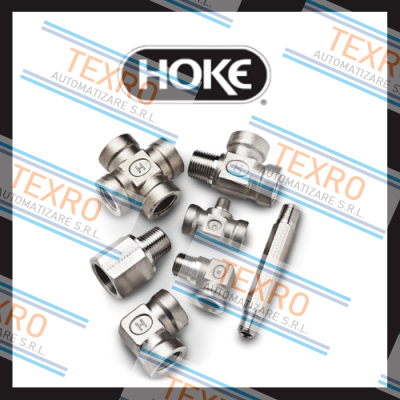 Hoke logo