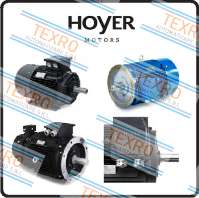 Hoyer Motors logo