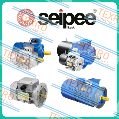 SEIPEE logo