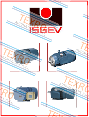 Isgev logo