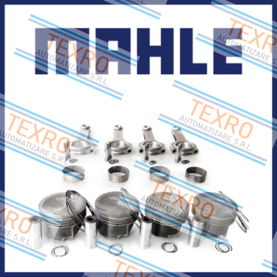 MAHLE logo