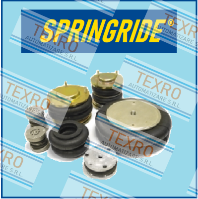 Springride-DF 21 ½ X 2  price