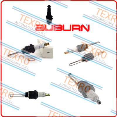 Auburn-CS13066 price