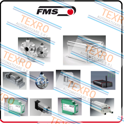 Fms-FMS-1V-WS-T price