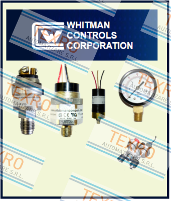 Whitman Controls-P119G-25H-F11L-X30154 price