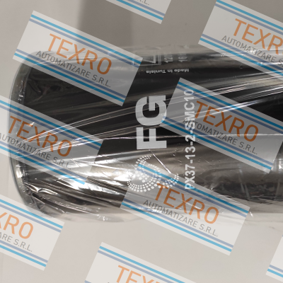 MAHLE-70541538 / PX37-13-2-SMX10 price