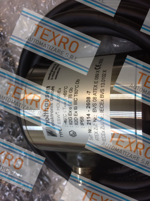 HOLTHAUSEN ELEKTRONIK-ESW®-Compact-EX-001 (hol600/EX) price
