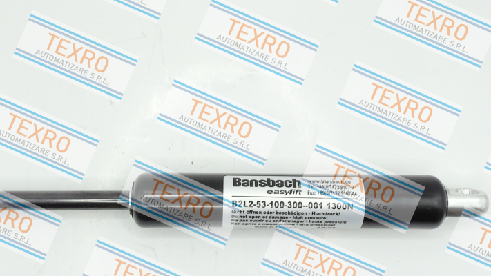 Bansbach-B2L2-53-100-300--001/1300N price