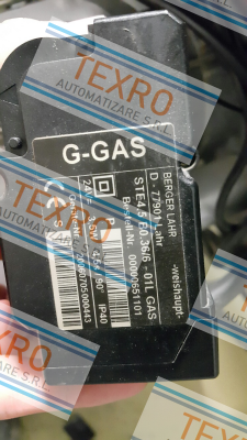 Weishaupt-STE4,5 B0.36/6-01L GAS price