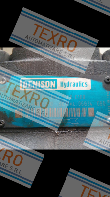Denison (Parker)-T6CCW 031 022 2R00 C100  price