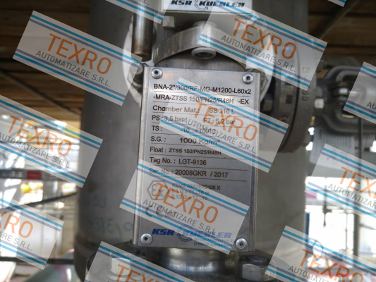 Ksr Kuebler-BNA-2"/300/RF-MG-M1.200-L60x2-MRAZTSS150/PN25/R48H-Ex  price