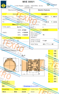 Oli-EN60300075A0JA0000  Type MVE 3000/1 price