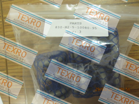 Cashco-830-H2-5-10080-95 price