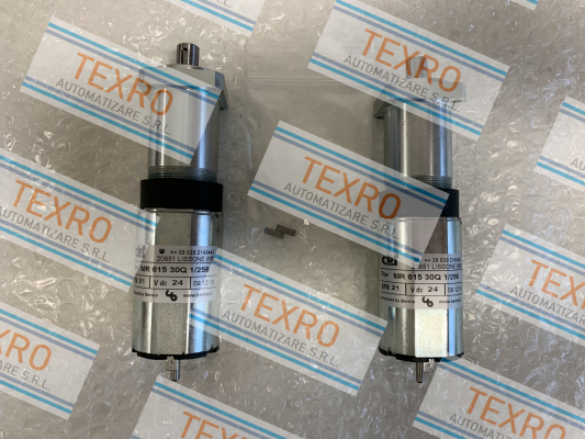 BERNIO ELETTROMECCANICA-MR 615 30 Q 1/256 price