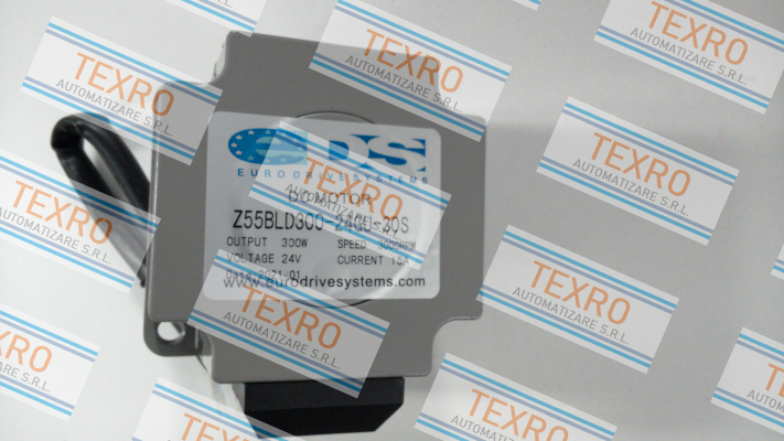 ZD-Motors-Z5BLD300 300W 24V 3000 rpm price
