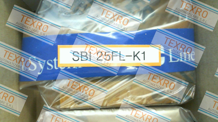 SBC Linear Rail System-SBI 25 FL K1 price