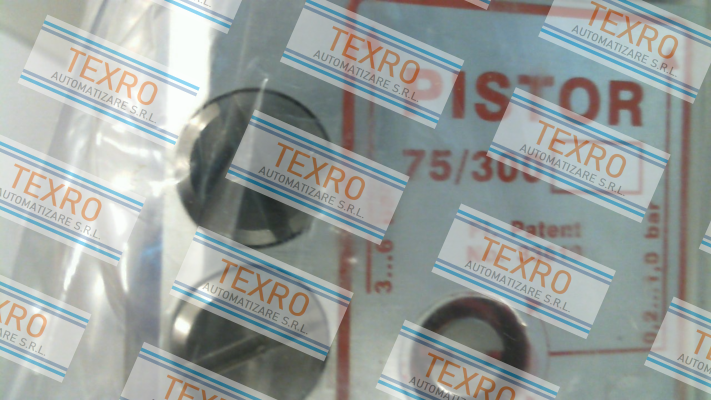 Satron-Pistor 75/ 300 price