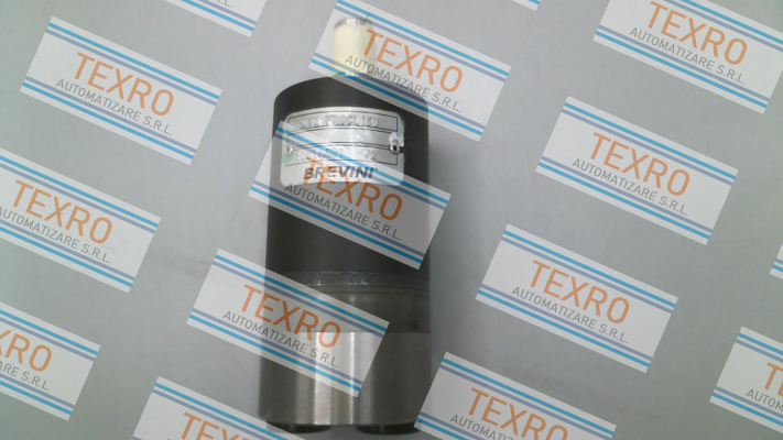 Brevini-BGM-S-032-FR0-M06-CL160-N-XXXX-000-X XX-XX/ SEM 35100321020 price