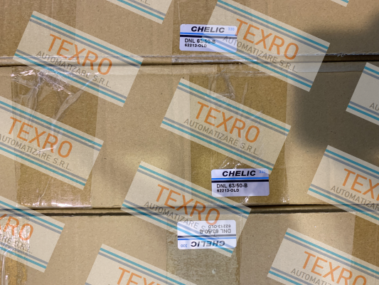 Chelic-DNL 63/50-B price