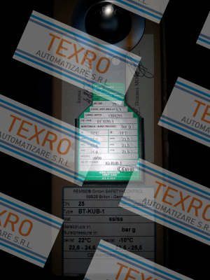 Rembe-Art.Nr.15202928, type BT-KUB-1  price