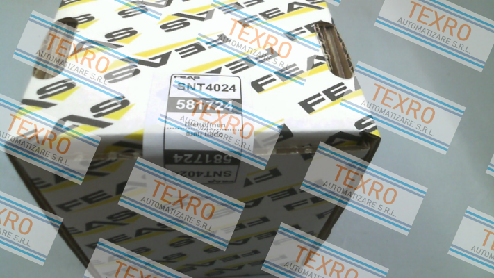 Feas-581724 / SNT4024 price