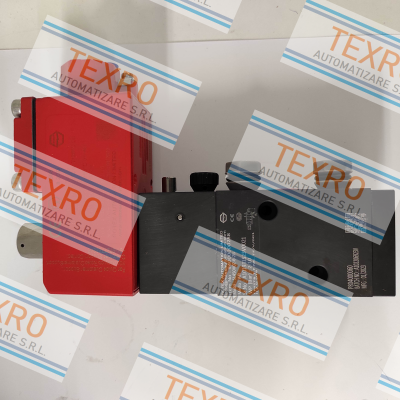 Rotex-51450V02-6-2G+III-24V-AC/DC-39- FR-H-01 price