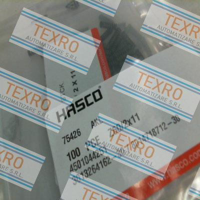Hasco-Z60/2X11 price