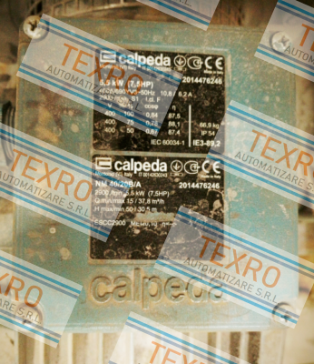 Calpeda-16006080000  price